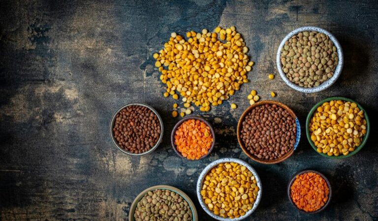 Pflanzliche Proteine und Wohlbefinden: Wie Ernährung die Stimmung beeinflussen kann